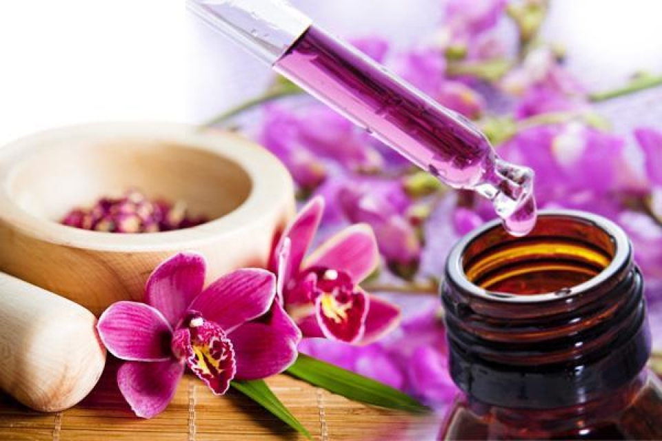 Consulenza Di Floripratica: Scopri Il Potere Dei Fiori Per Cambiare La Tua Vita.