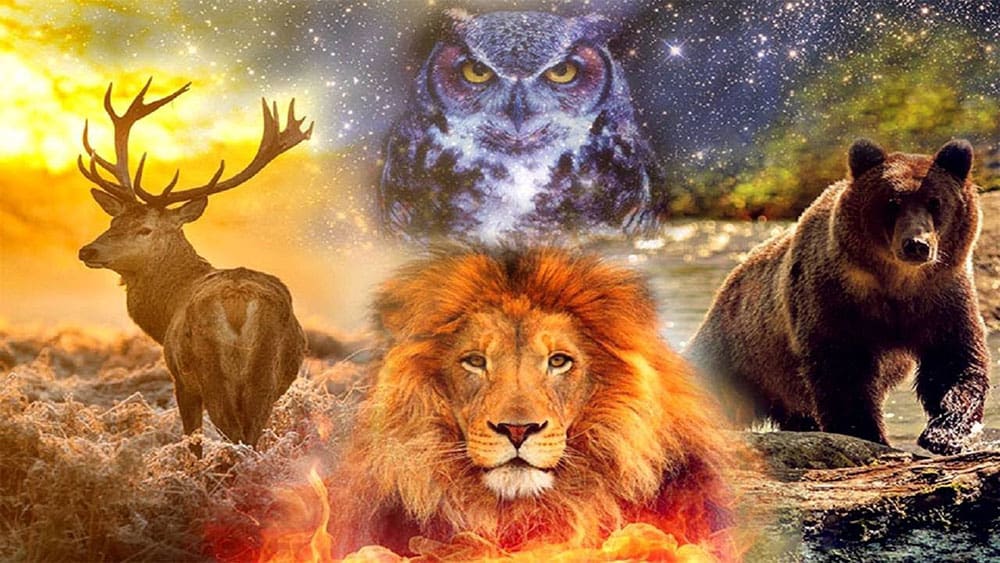 Trattamento Sciamanico Trova Il Tuo Animale Guida